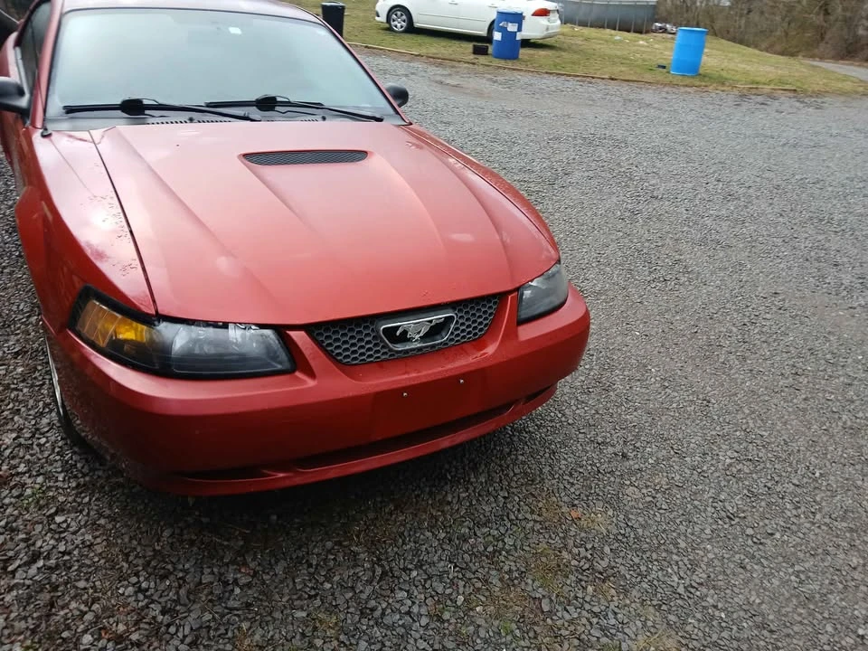 2001 Ford SN95 Mustang - Image 5 of 9