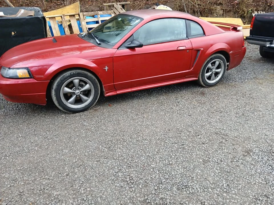 2001 Ford SN95 Mustang - Image 6 of 9