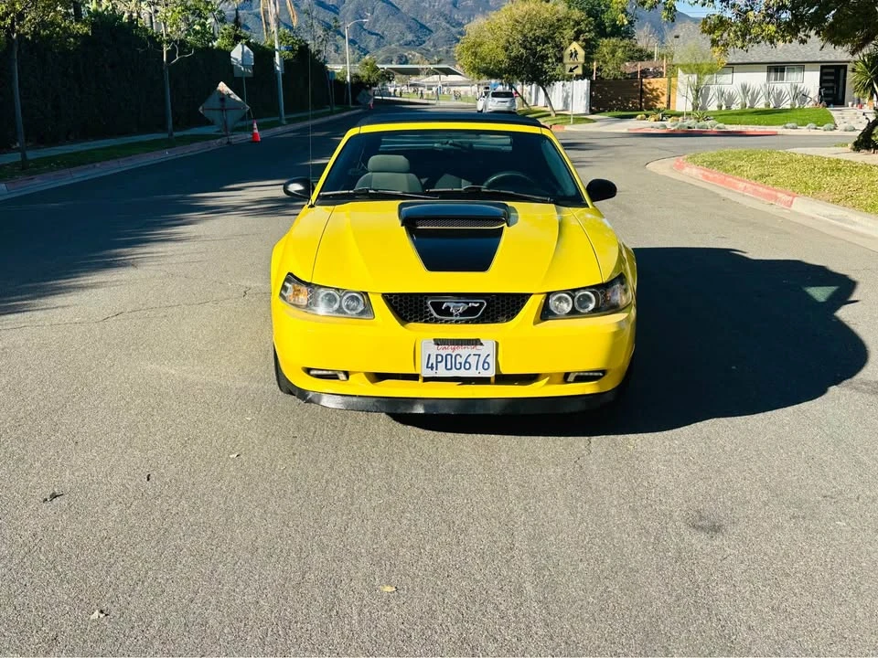 2001 Ford SN95 Mustang - Image 8 of 16