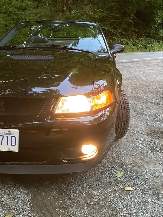 2001 Ford SN95 Mustang - Image 6 of 20