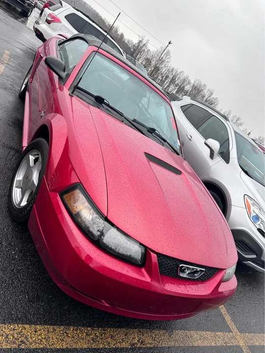 2001 Ford SN95 Mustang - Image 9 of 9