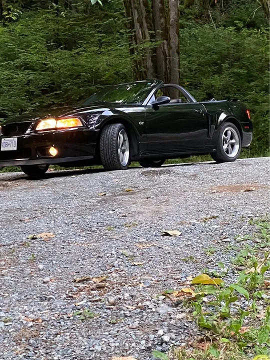 2001 Ford SN95 Mustang - Image 3 of 20