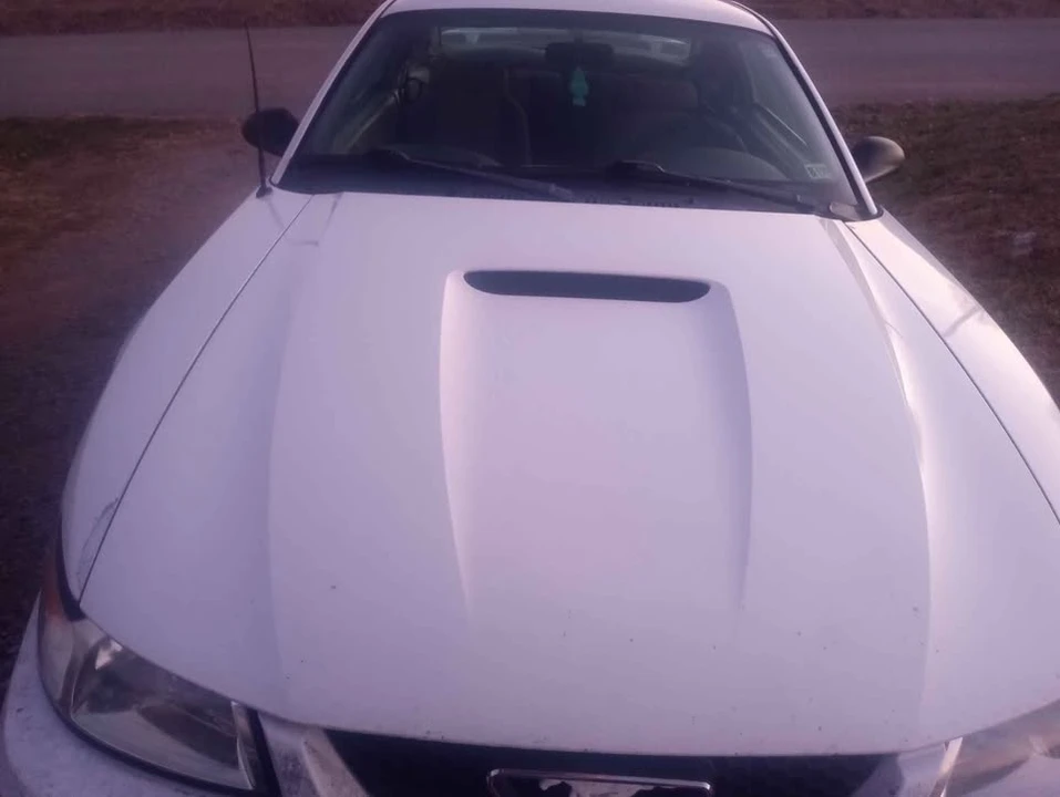2001 Ford SN95 Mustang - Image 4 of 4