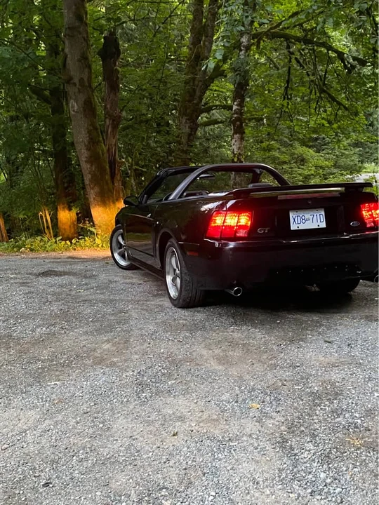 2001 Ford SN95 Mustang - Image 5 of 20