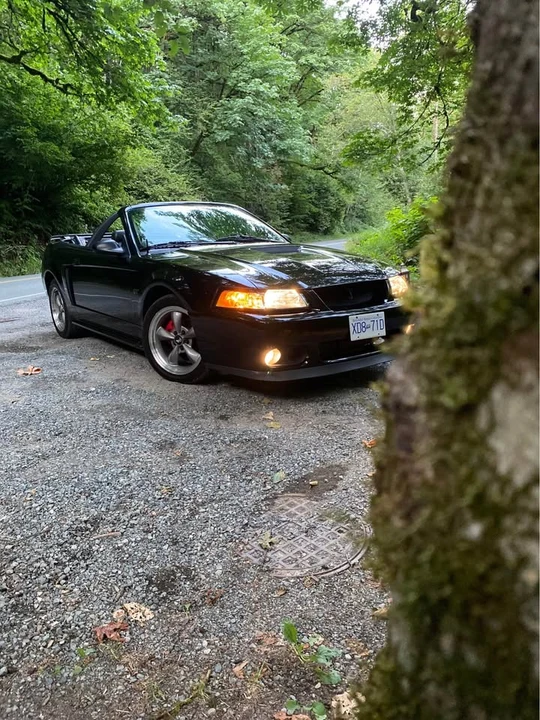 2001 Ford SN95 Mustang - Image 2 of 20
