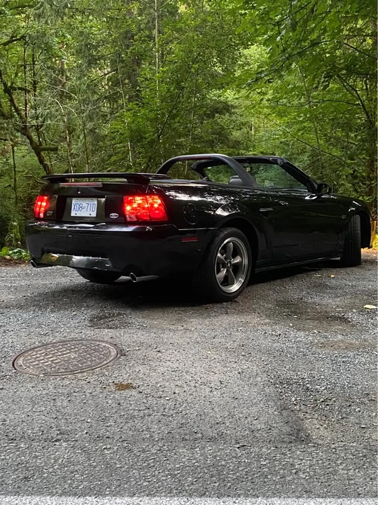 2001 Ford SN95 Mustang - Image 4 of 20