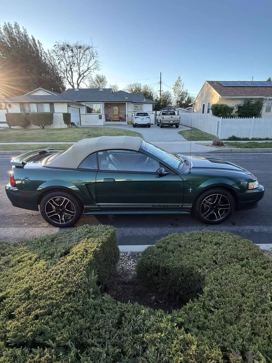 2001 Ford SN95 Mustang - Image 7 of 11