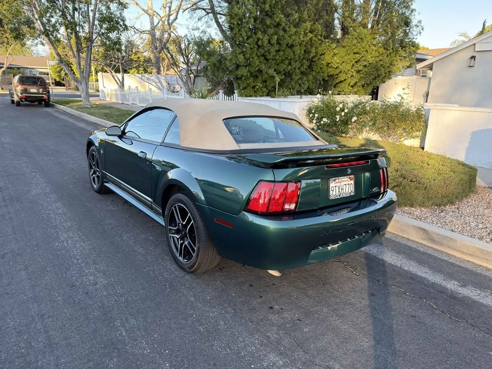 2001 Ford SN95 Mustang - Image 8 of 11