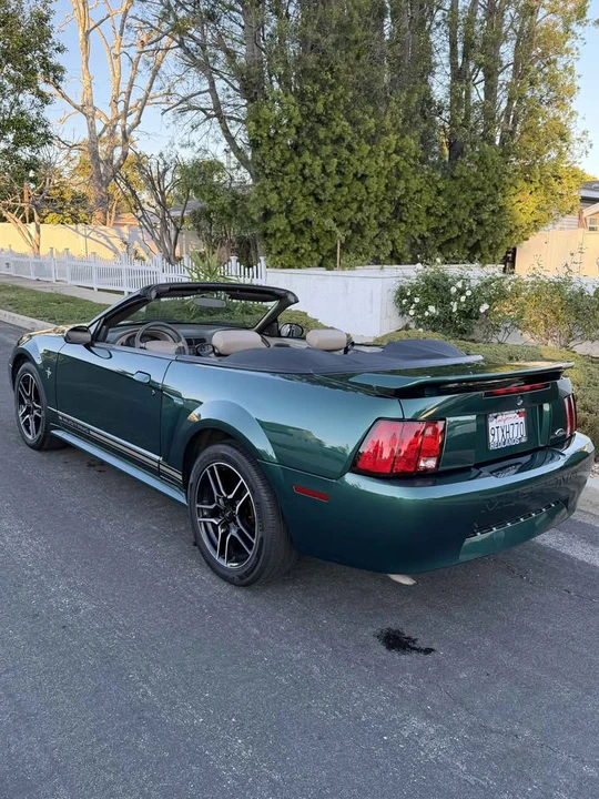 2001 Ford SN95 Mustang - Image 3 of 11