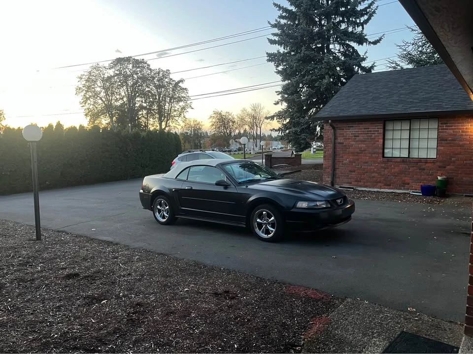 2001 Ford SN95 Mustang - Image 3 of 3