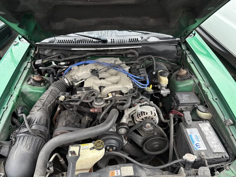 2001 Ford SN95 Mustang - Image 17 of 17