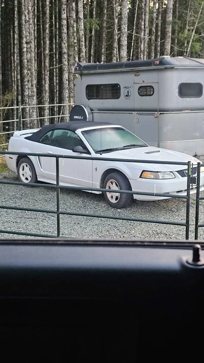 2001 Ford SN95 Mustang - Image 2 of 2