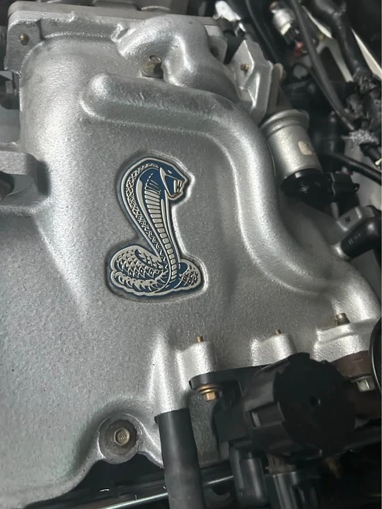 2001 Ford SN95 Mustang Cobra - Image 4 of 20