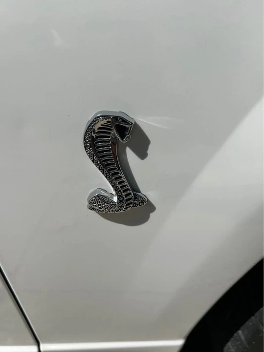 2001 Ford SN95 Mustang Cobra - Image 10 of 18
