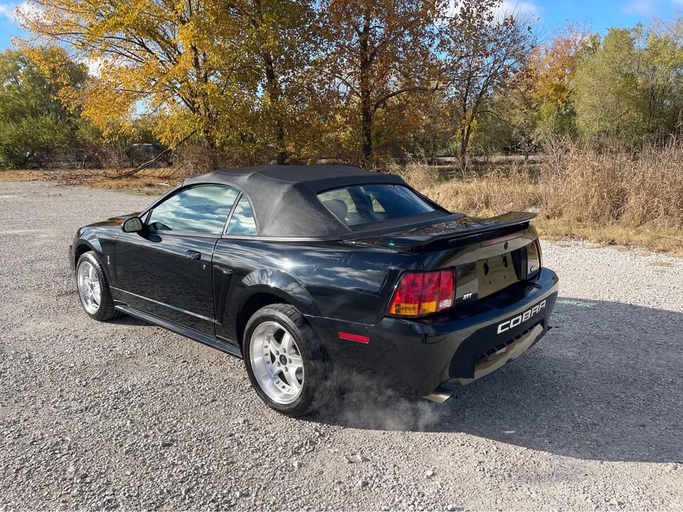 2001 Ford SN95 Mustang Cobra - Image 3 of 16