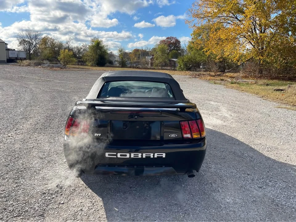 2001 Ford SN95 Mustang Cobra - Image 4 of 16
