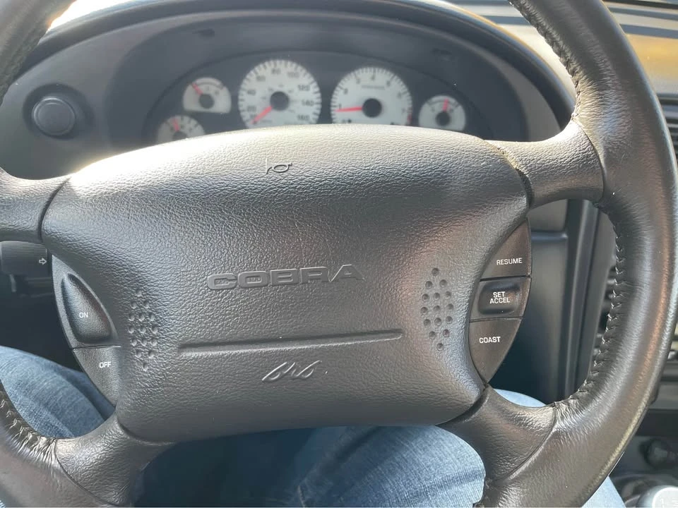 2001 Ford SN95 Mustang Cobra - Image 15 of 16