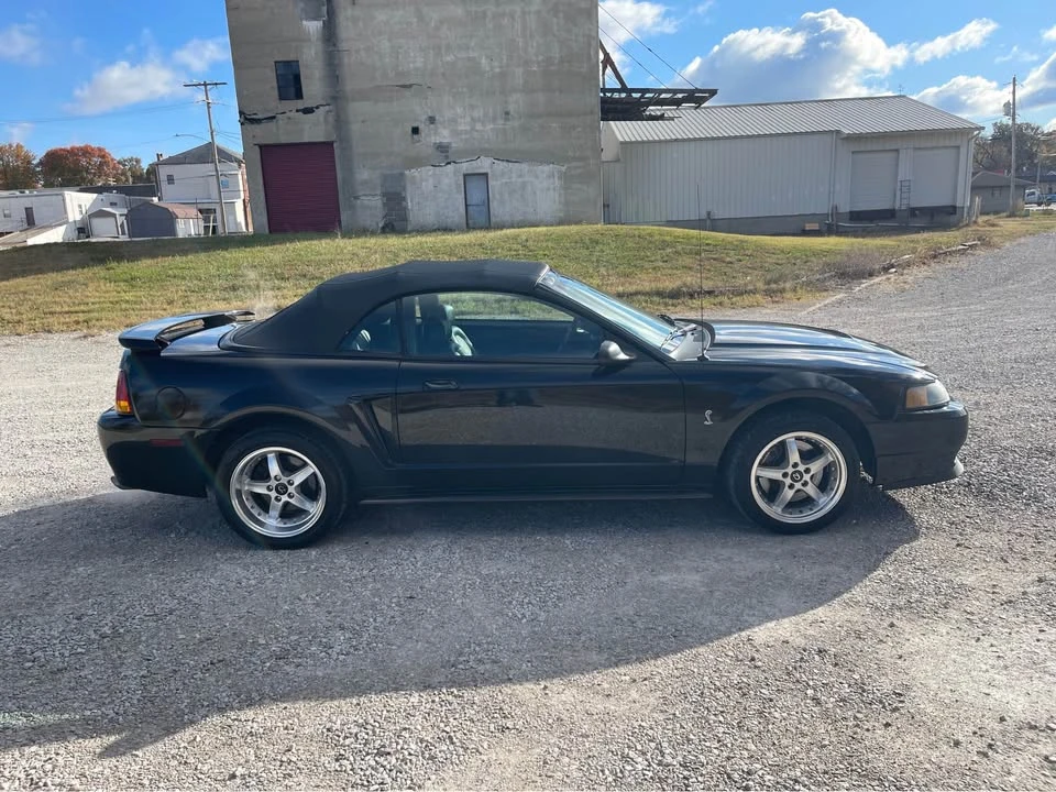 2001 Ford SN95 Mustang Cobra - Image 6 of 16