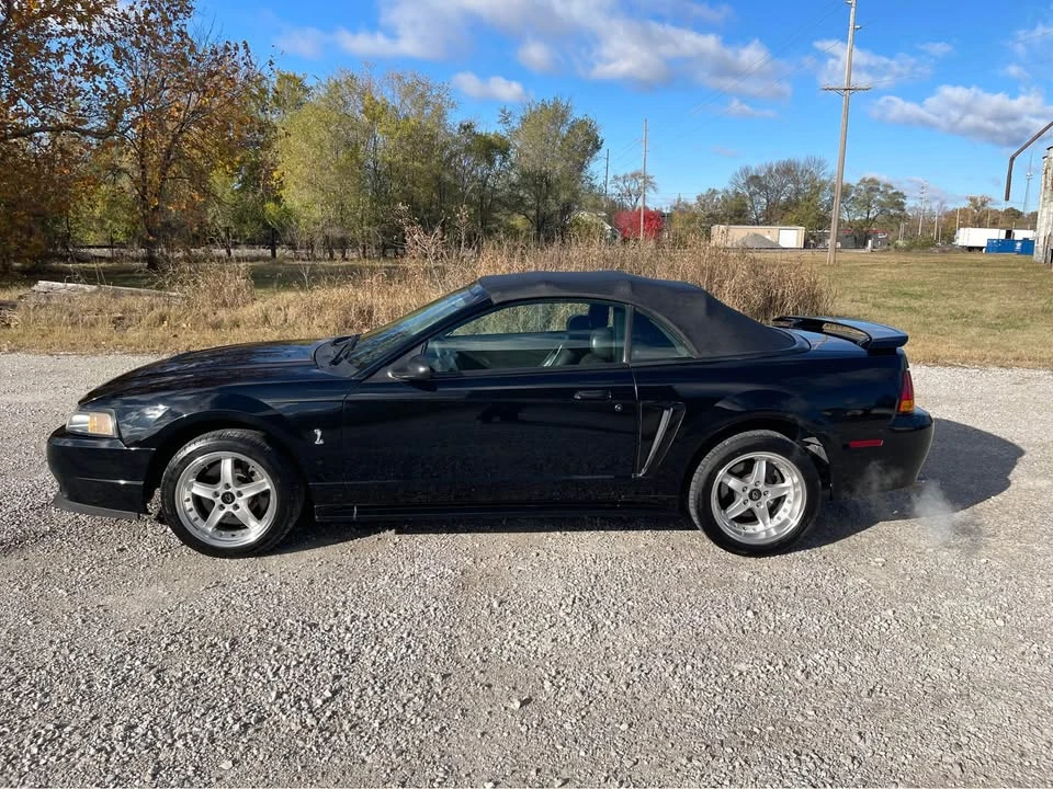 2001 Ford SN95 Mustang Cobra - Image 2 of 16