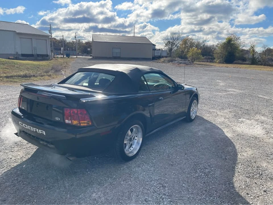 2001 Ford SN95 Mustang Cobra - Image 5 of 16