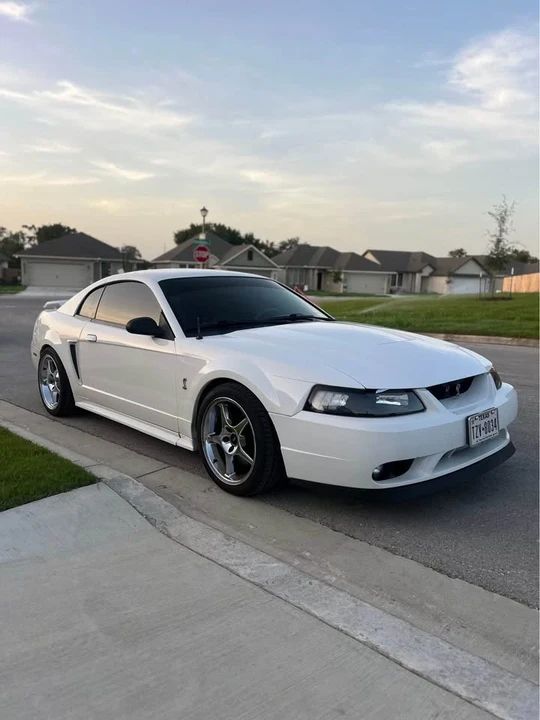 2001 Ford SN95 Mustang Cobra - Image 8 of 16