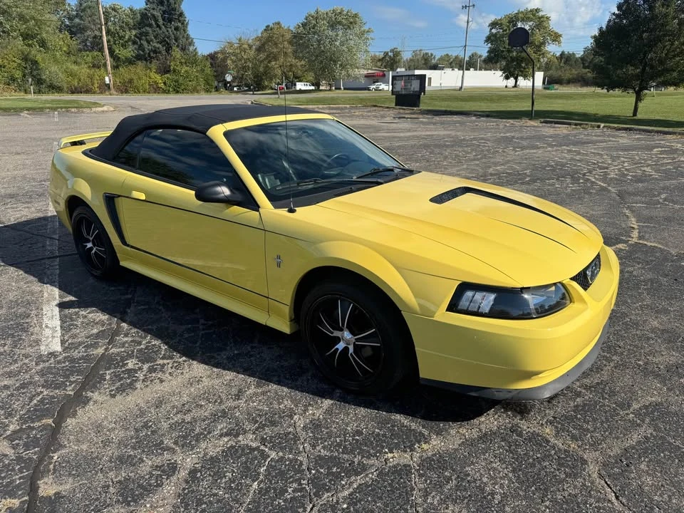 2001 Ford SN95 Mustang - Image 5 of 14