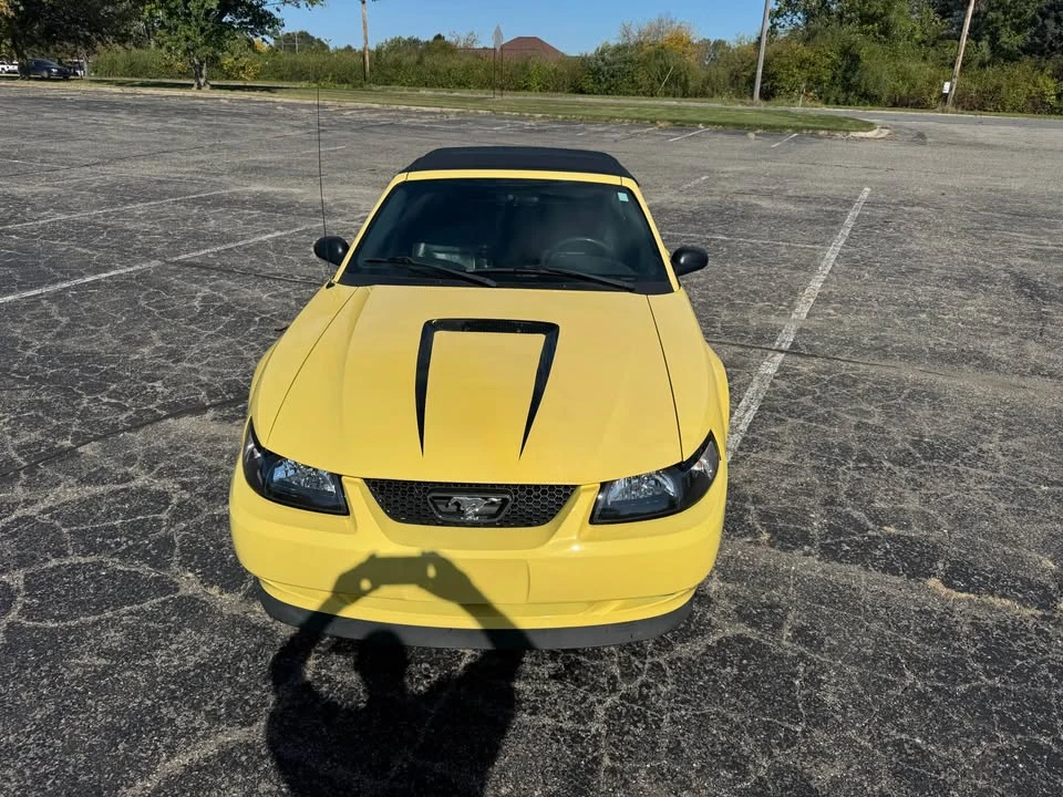 2001 Ford SN95 Mustang - Image 4 of 14