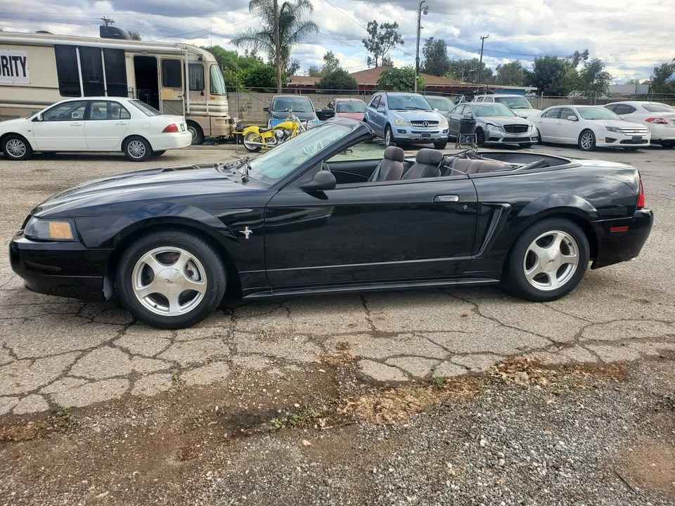 2001 Ford SN95 Mustang - Image 11 of 14