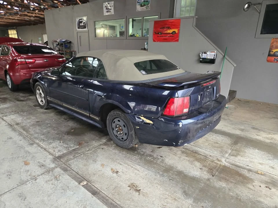 2001 Ford SN95 Mustang - Image 4 of 10