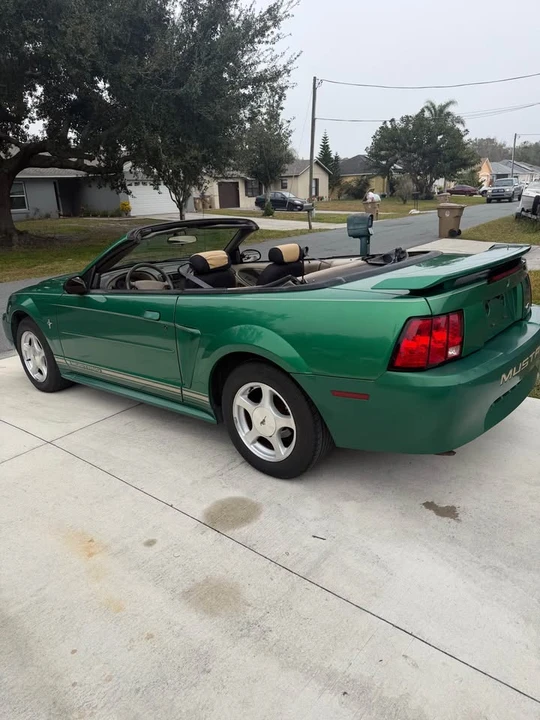 2001 Ford SN95 Mustang - Image 3 of 14
