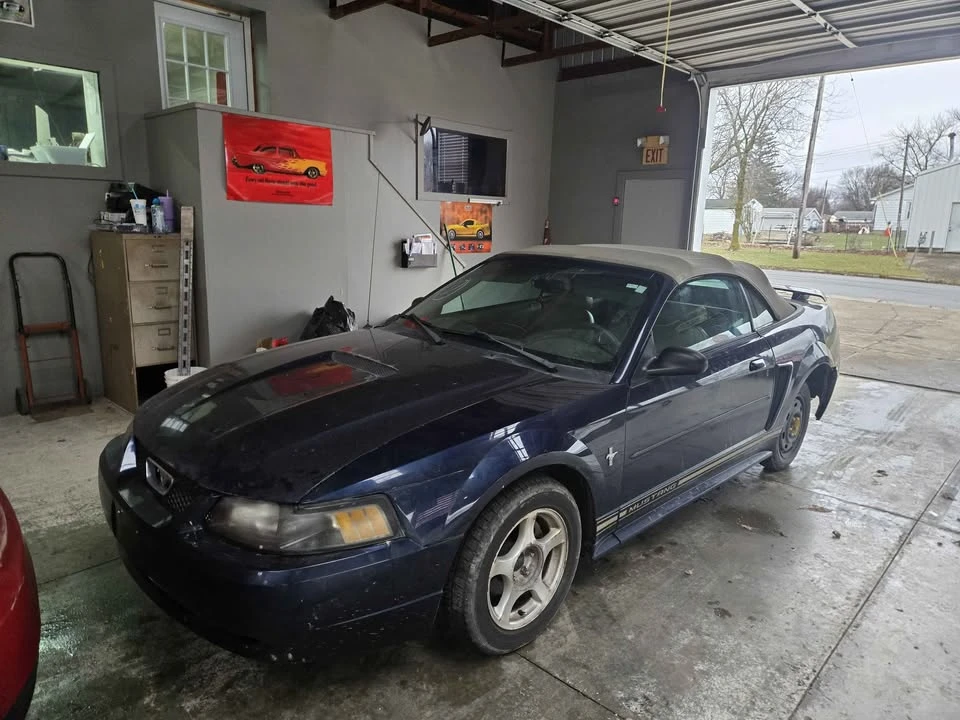 2001 Ford SN95 Mustang - Image 2 of 10