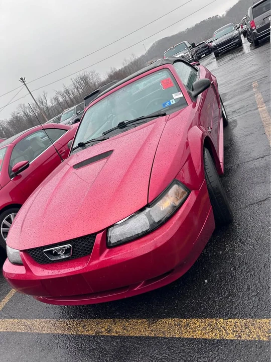 2001 Ford SN95 Mustang - Image 4 of 7