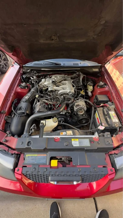 2001 Ford SN95 Mustang - Image 12 of 13