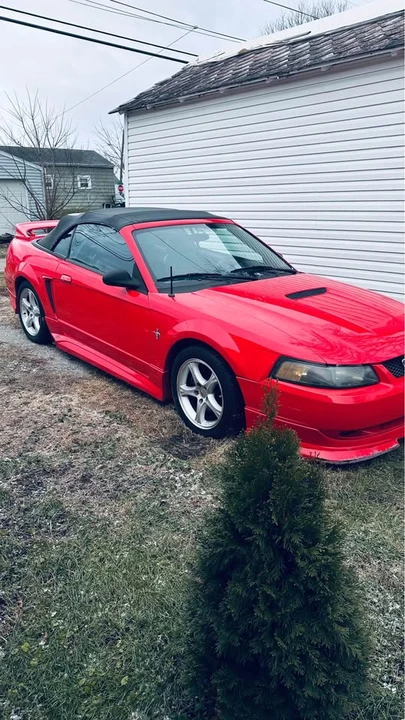 2001 Ford SN95 Mustang - Image 4 of 12