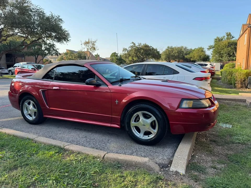 2001 Ford SN95 Mustang - Image 6 of 13