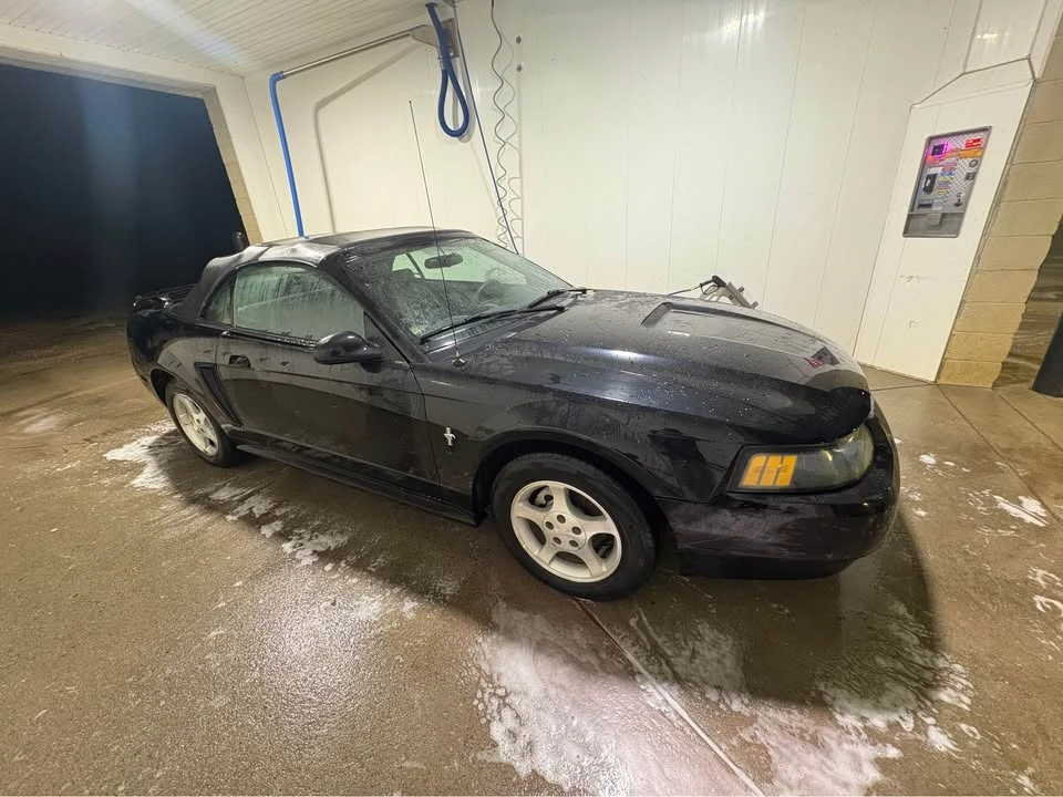 2001 Ford SN95 Mustang - Image 4 of 7