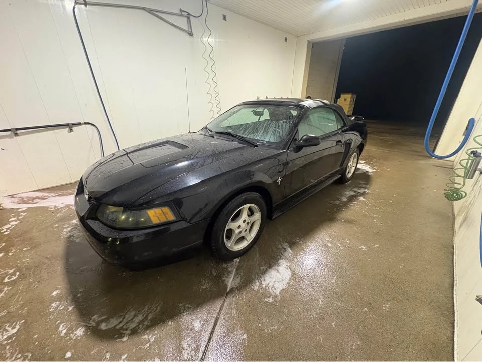 2001 Ford SN95 Mustang - Image 3 of 7
