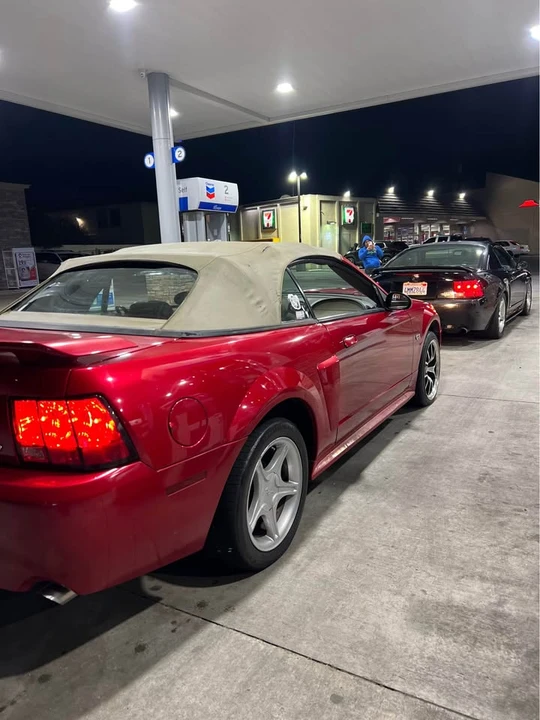 2001 Ford SN95 Mustang - Image 3 of 6