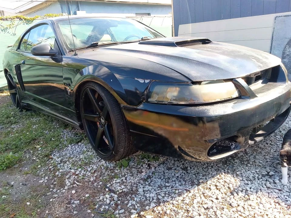 2001 Ford SN95 Mustang - Image 2 of 8
