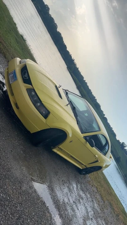 2001 Ford SN95 Mustang - Image 3 of 3
