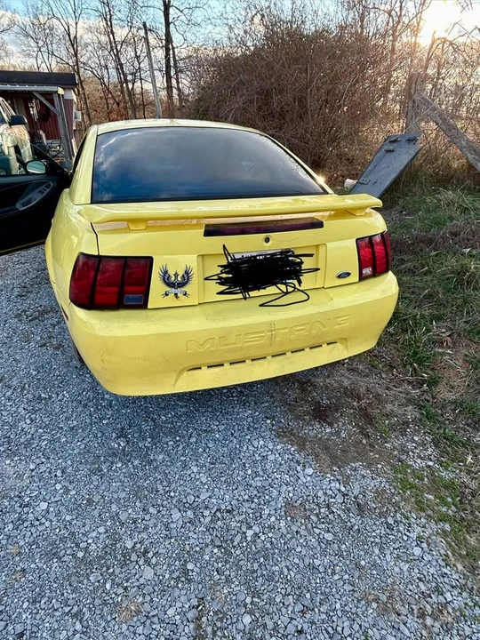 2001 Ford SN95 Mustang - Image 5 of 6