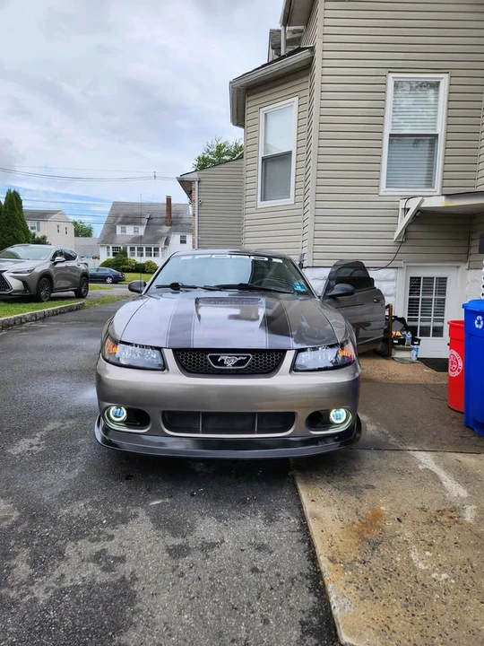 2001 Ford SN95 Mustang - Image 6 of 8