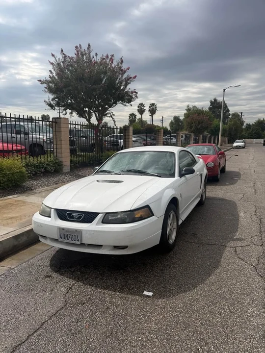 2001 Ford SN95 Mustang - Image 5 of 5