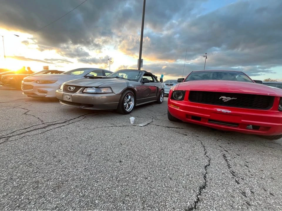 2001 Ford SN95 Mustang - Image 2 of 14