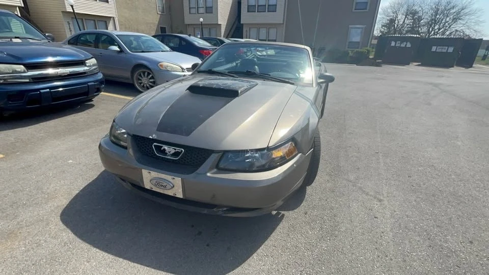 2001 Ford SN95 Mustang - Image 5 of 14