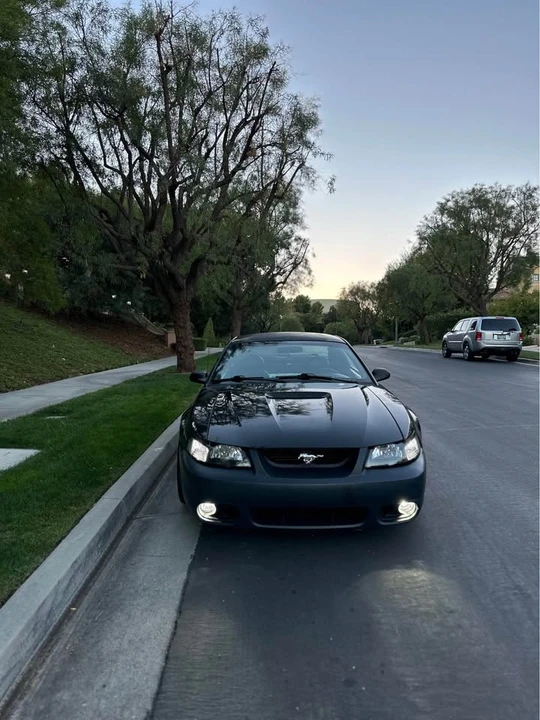 2001 Ford SN95 Mustang - Image 4 of 14