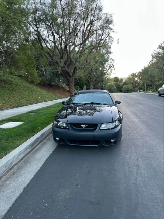 2001 Ford SN95 Mustang - Image 3 of 14