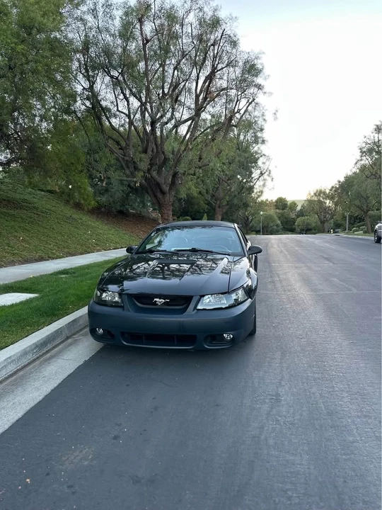 2001 Ford SN95 Mustang - Image 2 of 14