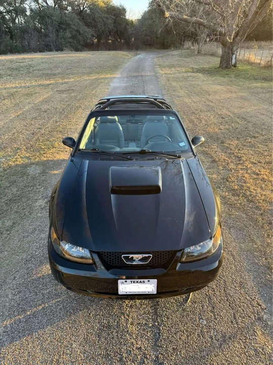2001 Ford SN95 Mustang - Image 13 of 16