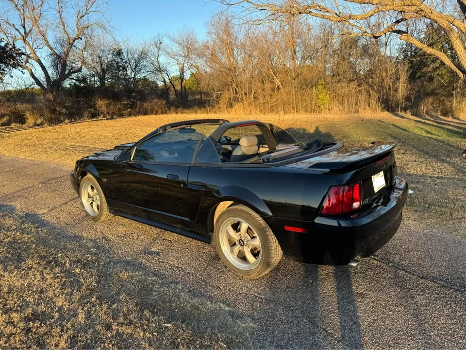 2001 Ford SN95 Mustang - Image 11 of 16